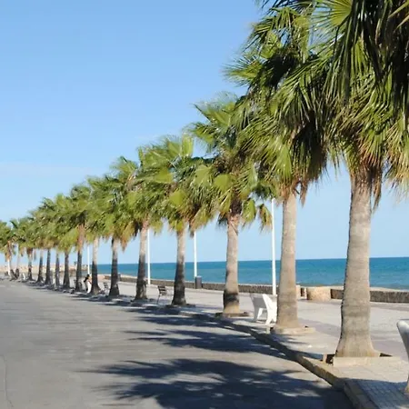 Urb Palm Apartment *